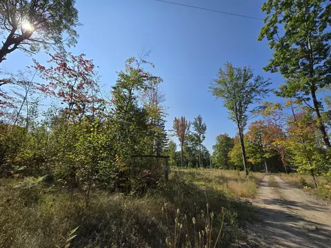 Parcel B E Kneeland Road, Fairview, MI 48621