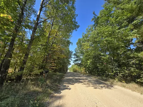 Parcel B E Kneeland Road, Fairview, MI 48621 photo 20