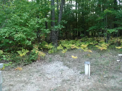 6548 Link Blvd, Indian River, MI 49749 photo 30