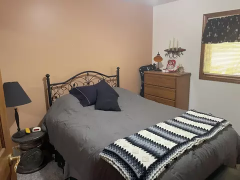 6548 Link Blvd, Indian River, MI 49749 photo 21