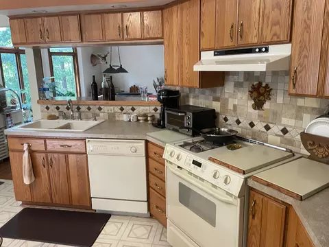 6548 Link Blvd, Indian River, MI 49749 photo 9