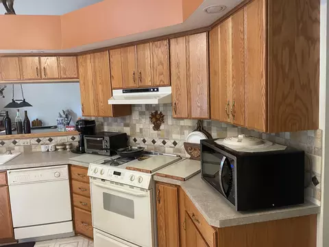 6548 Link Blvd, Indian River, MI 49749 photo 8