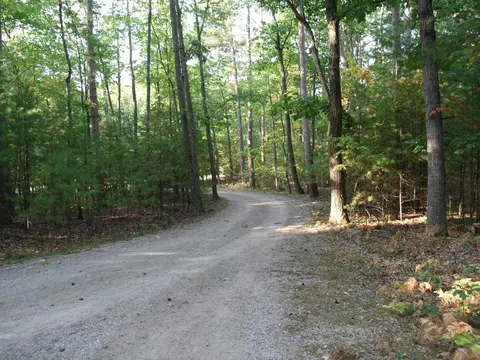 6548 Link Blvd, Indian River, MI 49749 photo 35