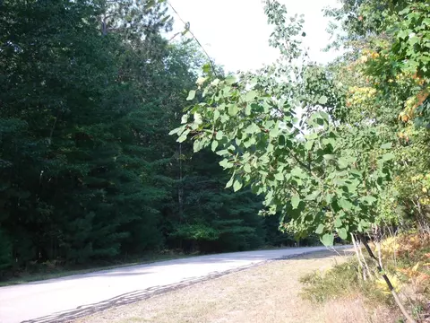 6548 Link Blvd, Indian River, MI 49749 photo 37