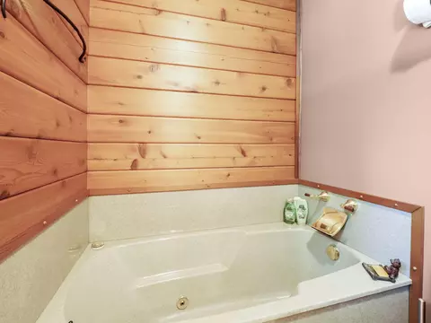 Bath - 6371 Link Blvd, Indian River, MI 49749 photo 5 of 8