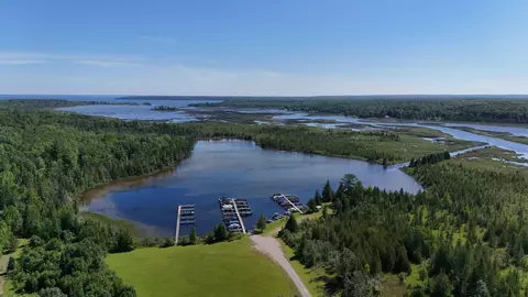 View/Area - 6371 Link Blvd, Indian River, MI 49749 photo 2 of 4
