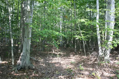 00 Barlow Road Lincoln Mi 48742 Rd, Lincoln, MI 48742
