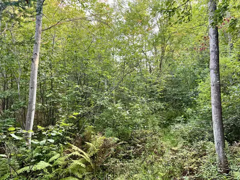 0 N Riggsville Road 127 Acres Cheboygan Mi 49721 Rd #12.7 ACRES, Cheboygan, MI 49721