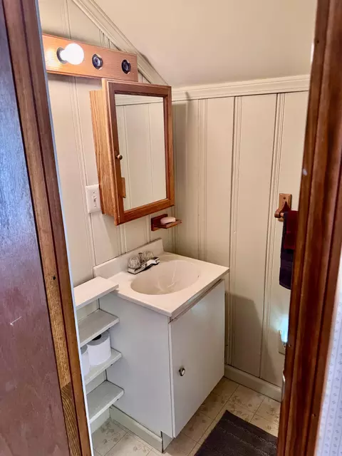 Bath - 703 Norway Drive Mio Mi 48647 Dr, Mio, MI 48647 photo 5 of 6