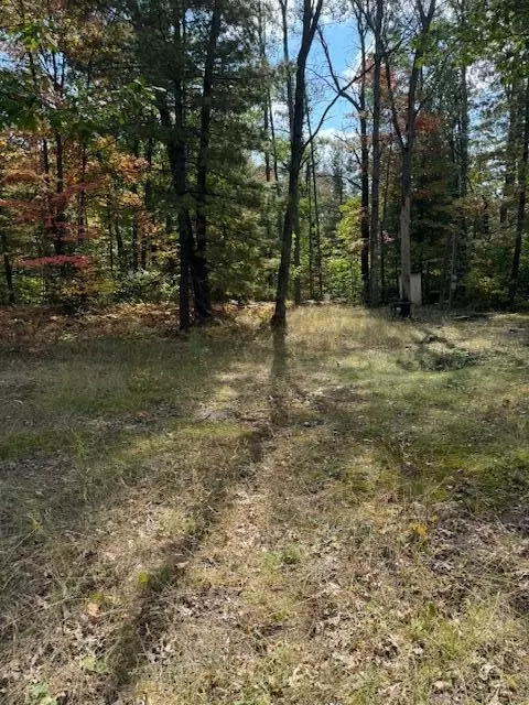 5782 Crystal St Johannesburg Mi 49751, Johannesburg, MI 49751