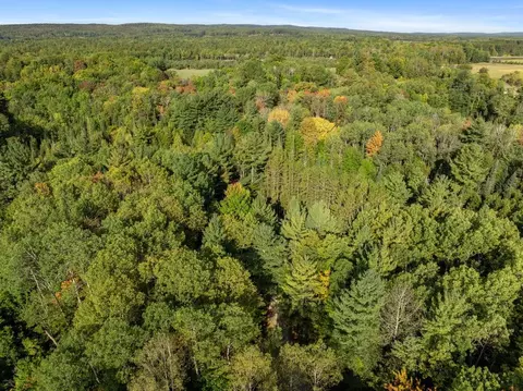 View/Area - 6885 Maple River Rd, Brutus, MI 49716 photo 5 of 7