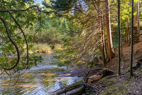 View/Area - 6885 Maple River Rd, Brutus, MI 49716 photo 6 of 7