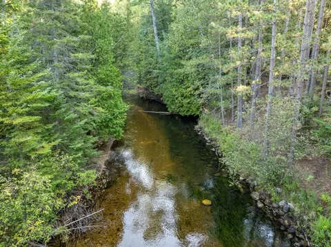 View/Area - 6885 Maple River Rd, Brutus, MI 49716 photo 4 of 7