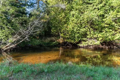 View/Area - 6885 Maple River Rd, Brutus, MI 49716 photo 7 of 7