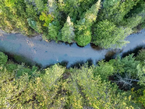 View/Area - 6885 Maple River Rd, Brutus, MI 49716 photo 1 of 7