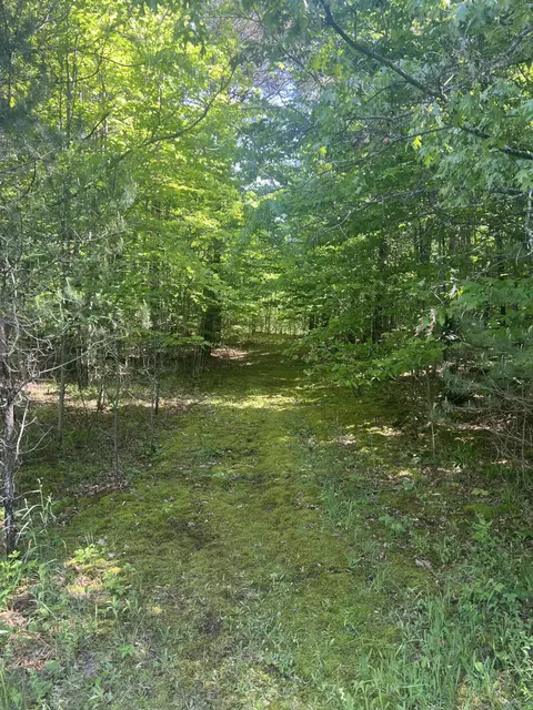 Callahan Trail, Frederic, MI 49733 photo 3