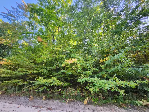 lot Apt 228 North Donnybrook Frederic Mi 49733, Frederic, MI 49733 photo 6