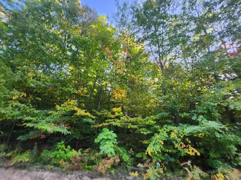 lot Apt 228 North Donnybrook Frederic Mi 49733, Frederic, MI 49733 photo 7