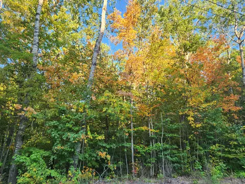 lot Apt 228 North Donnybrook Frederic Mi 49733, Frederic, MI 49733
