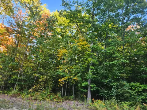 lot Apt 228 North Donnybrook Frederic Mi 49733, Frederic, MI 49733 photo 3