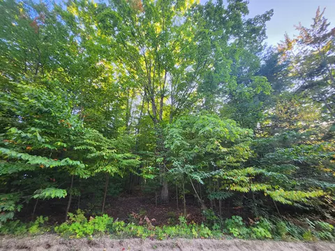 lot Apt 228 North Donnybrook Frederic Mi 49733, Frederic, MI 49733 photo 12