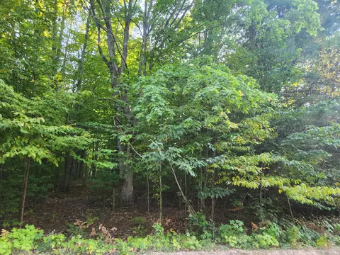 lot Apt 228 North Donnybrook Frederic Mi 49733, Frederic, MI 49733 photo 10