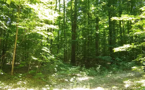 lot Apt 228 North Donnybrook Frederic Mi 49733, Frederic, MI 49733 photo 8