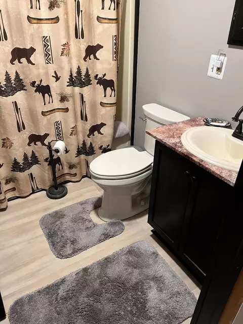 Bath - 11770 Cherven Ln, Roscommon, MI 48653 photo 2 of 8