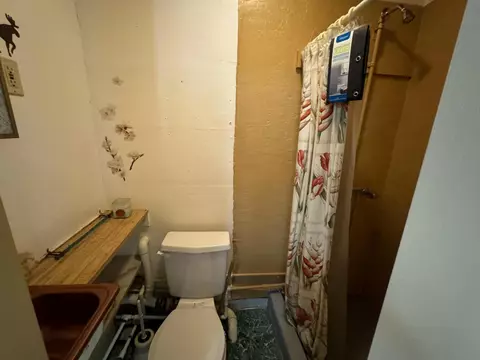 Bath - 11770 Cherven Ln, Roscommon, MI 48653 photo 5 of 8