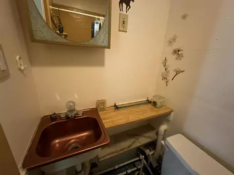 Bath - 11770 Cherven Ln, Roscommon, MI 48653 photo 6 of 8
