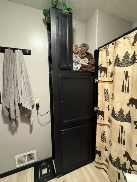 Bath - 11770 Cherven Ln, Roscommon, MI 48653 photo 4 of 8