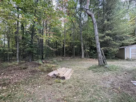 Exterior - 11770 Cherven Ln, Roscommon, MI 48653 photo 24 of 24