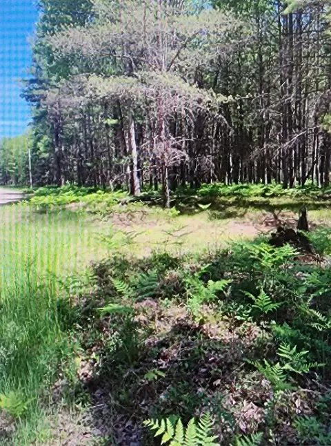 4496 Julie Ln, Saint Helen, MI 48656