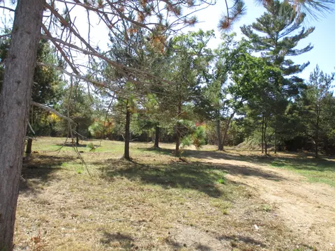 Willowway Drive, Lewiston, MI 49756