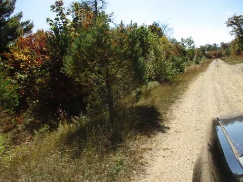 Timber Trail Court, Lewiston, MI 49756