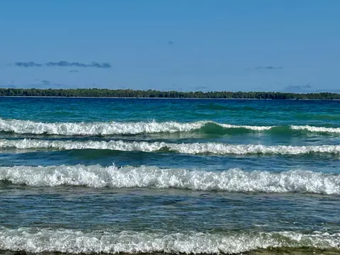 6850 Monaghan Point Road Alpena Mi 49707 Rd, Alpena, MI 49707