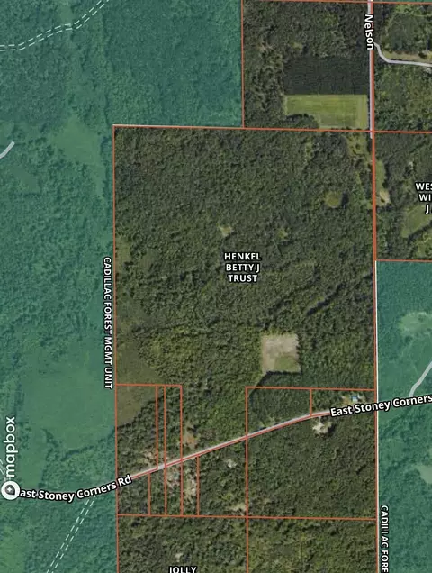 V/l E Stony Corners Road, Falmouth, MI 49632