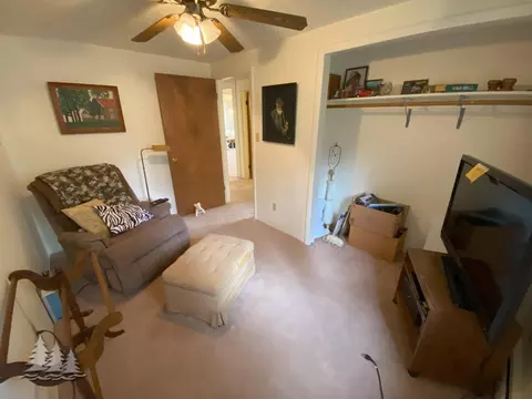 3610 Buttles Rd, Lewiston, MI 49756 photo 17