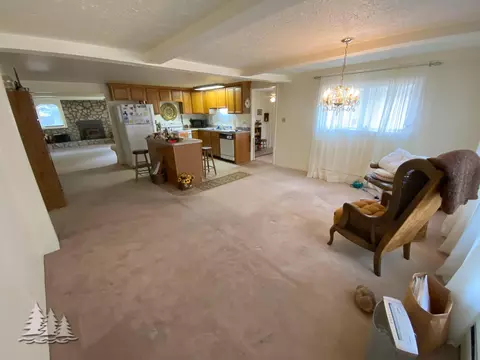 3610 Buttles Rd, Lewiston, MI 49756 photo 9