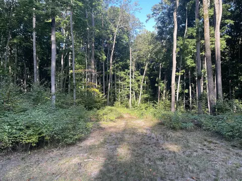 11234 White Ash Trail Vanderbilt Mi 49795 Trl, Vanderbilt, MI 49795 photo 4
