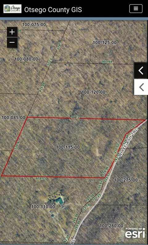 11234 White Ash Trail Vanderbilt Mi 49795 Trl, Vanderbilt, MI 49795 photo 7
