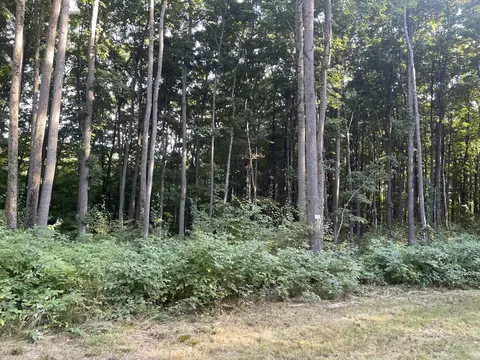 11234 White Ash Trail Vanderbilt Mi 49795 Trl, Vanderbilt, MI 49795 photo 5