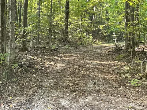 11234 White Ash Trail Vanderbilt Mi 49795 Trl, Vanderbilt, MI 49795 photo 3