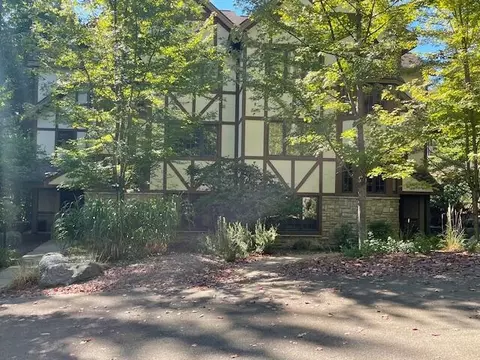 1150 Alpine Village Dr # 735, Harbor Springs, MI 49740