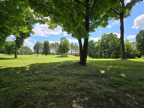 lot23 Cubs Way Vanderbilt Mi 49795 Way, Vanderbilt, MI 49795