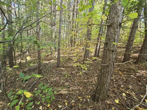 1016 Zimowske Road Mio Mi 48647 Rd, Mio, MI 48647 photo 36
