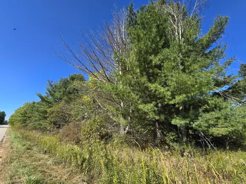 1016 Zimowske Road Mio Mi 48647 Rd, Mio, MI 48647 photo 32