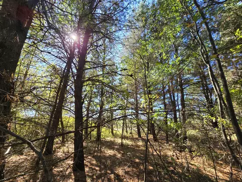 1016 Zimowske Road Mio Mi 48647 Rd, Mio, MI 48647 photo 31