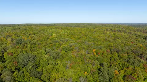 42 NE Acres Ne West Blue Lake Road Kalkaska Mi 49646 Rd, Kalkaska, MI 49646
