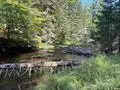 tbd Sunken Lake Rd #14.5 AC, Seney, MI 49883